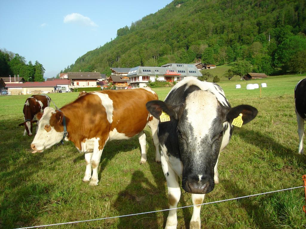 Hotel Milan B&B Ringgenberg Eksteriør billede